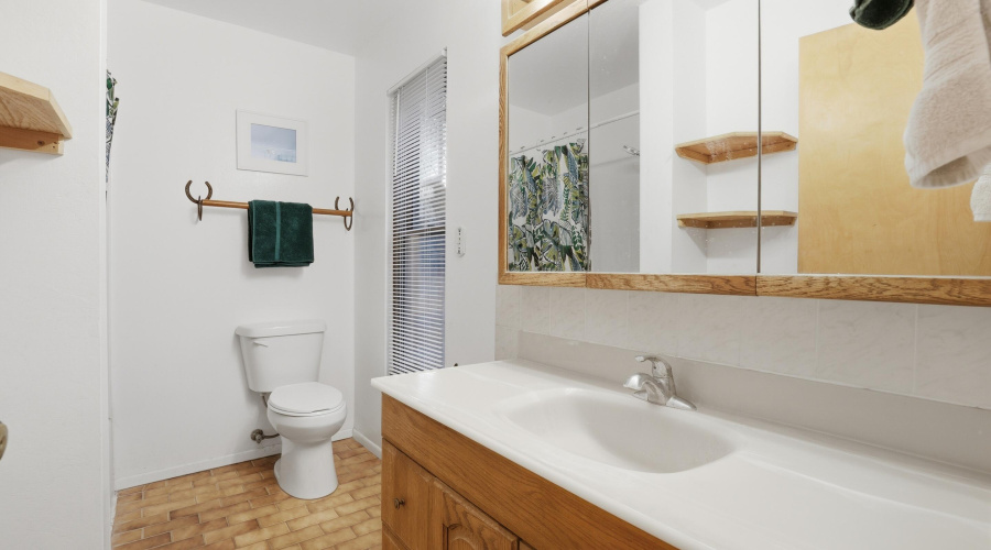 Master Bathroom (1)