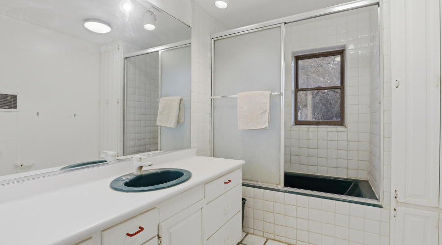 Downstairs Guest Bath