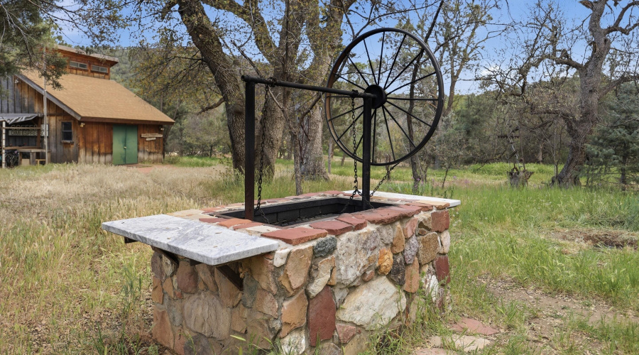 Built in Wood Fired Grill (1)