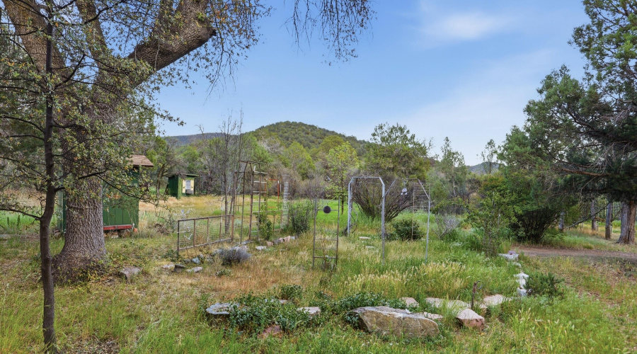 Yard (1)