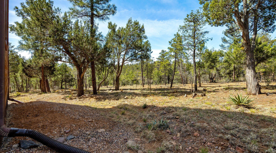745ENewPineWay-ShowLow-AZ-3