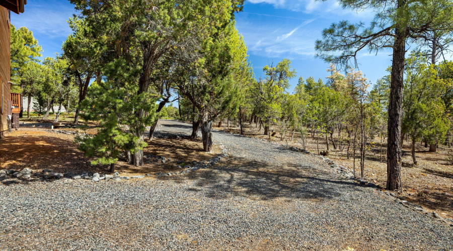 745ENewPineWay-ShowLow-AZ-40