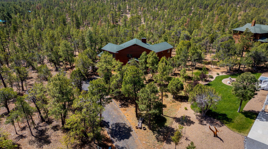 745ENewPineWay-ShowLow-AZ-45
