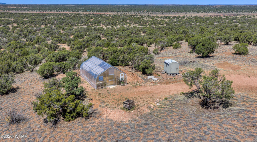 Greenhouse and shed