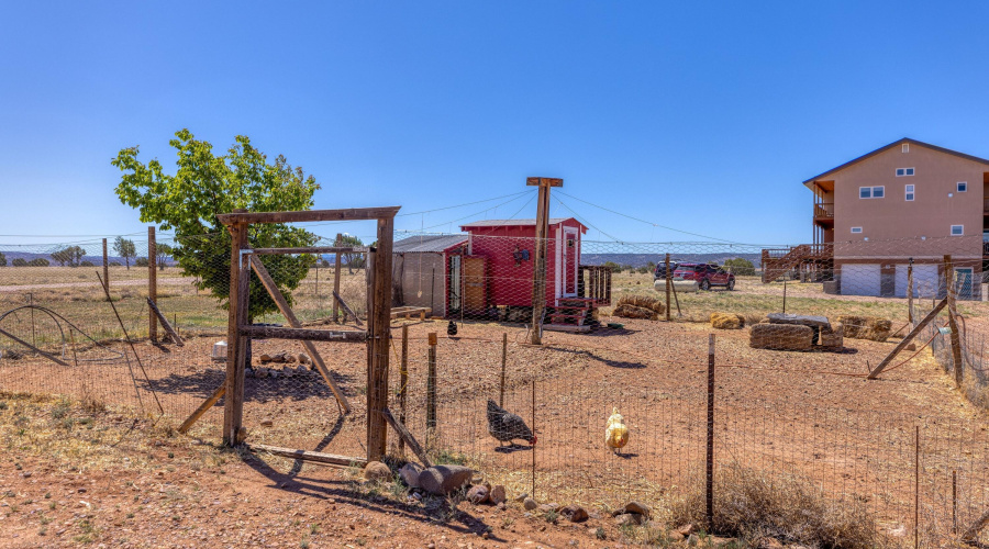 Chicken coop and yard.