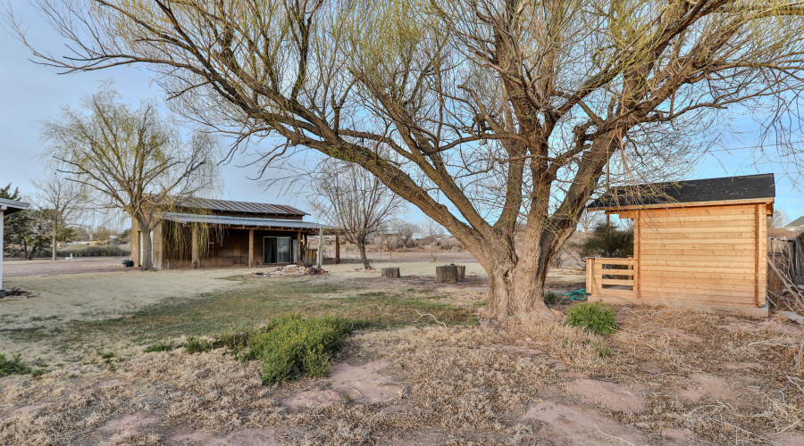 Front Yard