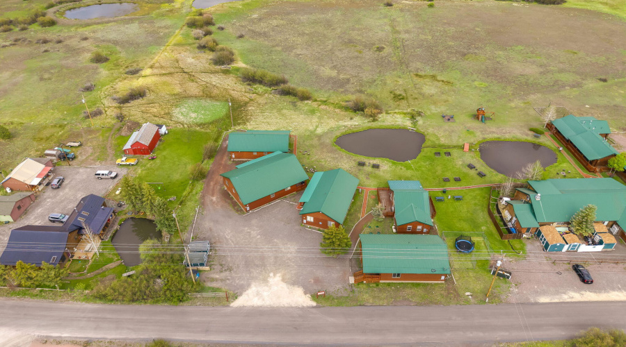 CATTLE KATE AERIAL BACK