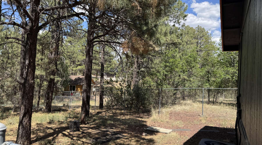 side yard