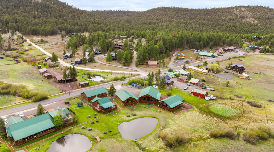 CATTLE KATE AERIAL POND VIEW