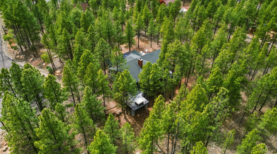 39_dji_0686