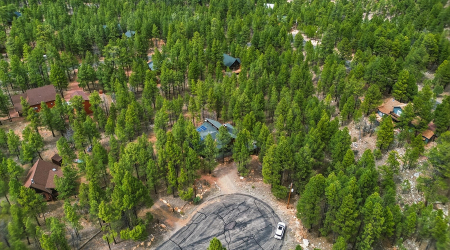 40_dji_0650