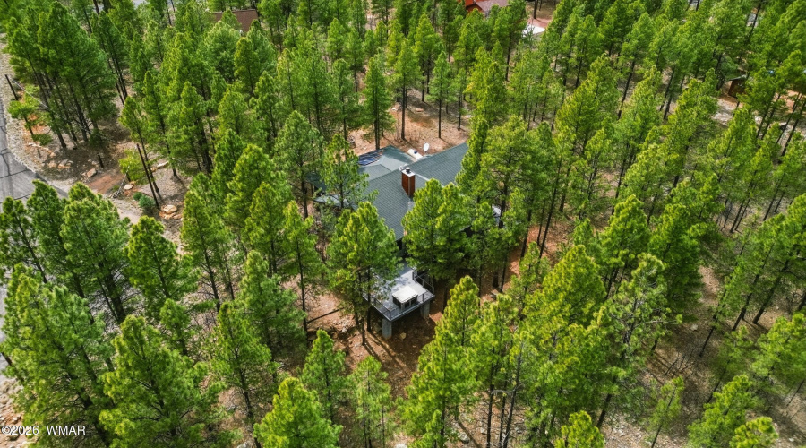39_dji_0686