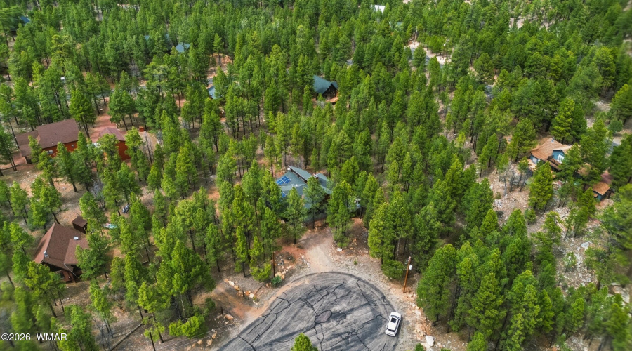 40_dji_0650