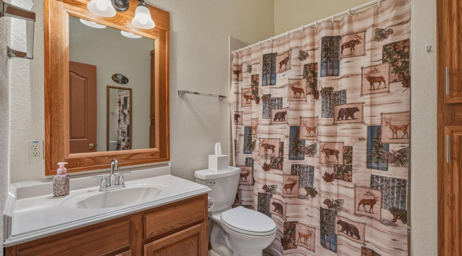 Gueest bathroom