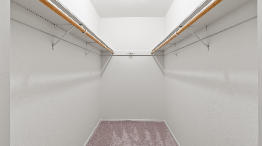 Primary Closet