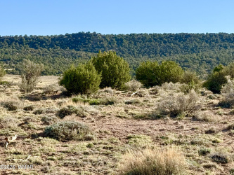 85 Co Road 8500 40 Acres, Concho, Arizona 85924, ,Land,For Sale,Co Road 8500 40 Acres,260453