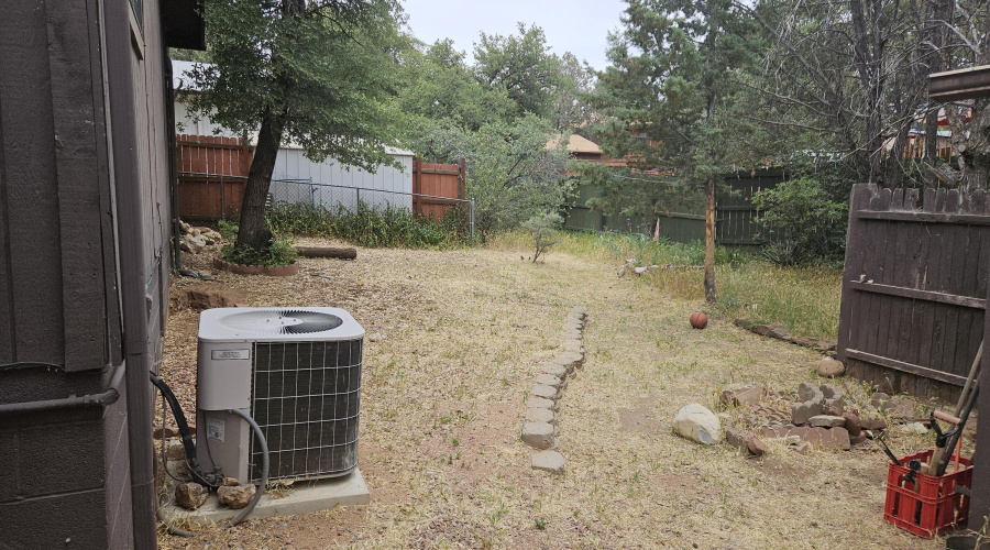 BACK YARD