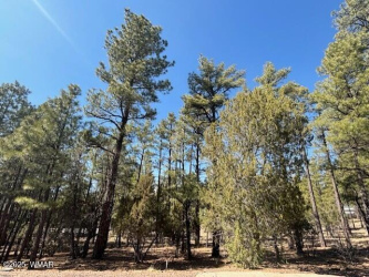 4790 Hawthorn Road, Show Low, Arizona 85901, ,Land,For Sale,Hawthorn,260936