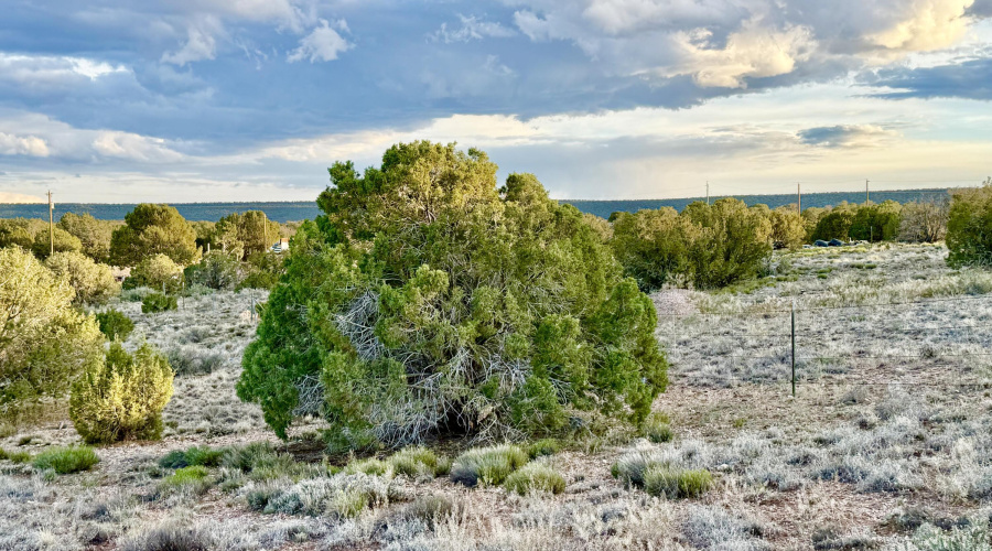 IMG_6159