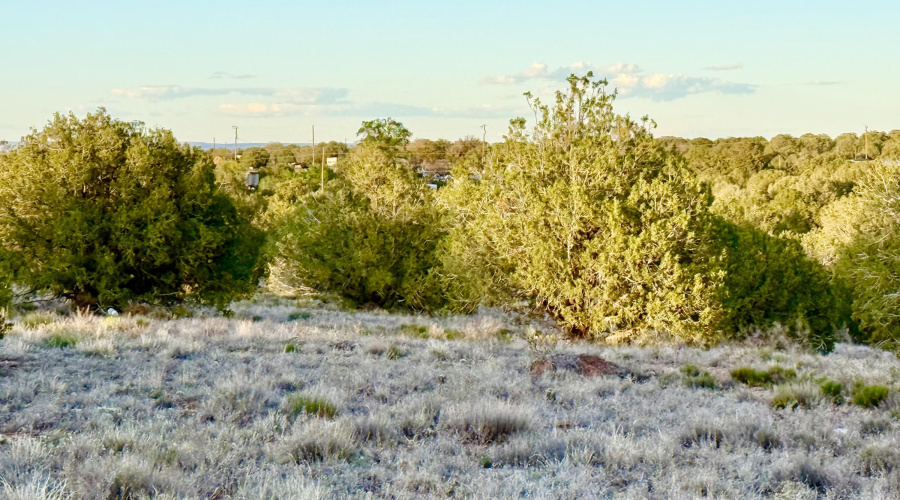 IMG_6163
