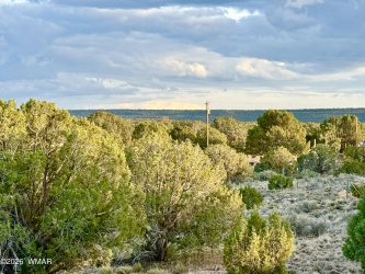 4428 Colt Road, Snowflake, Arizona 85937, ,Land,For Sale,Colt,260948
