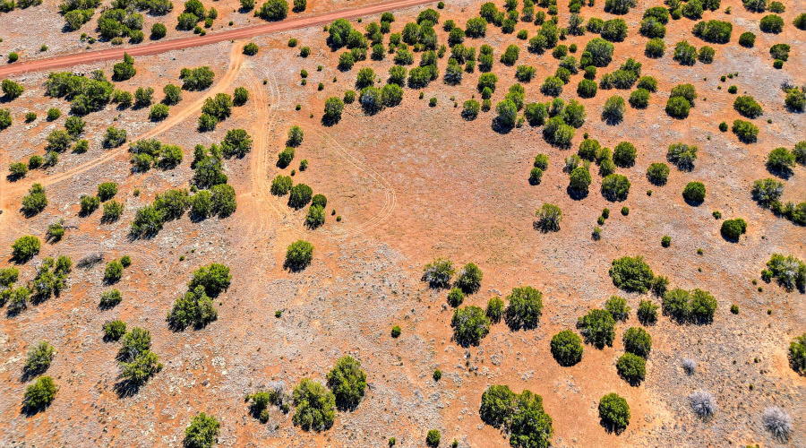 8085CountyRdLot1847-Concho-AZ-11