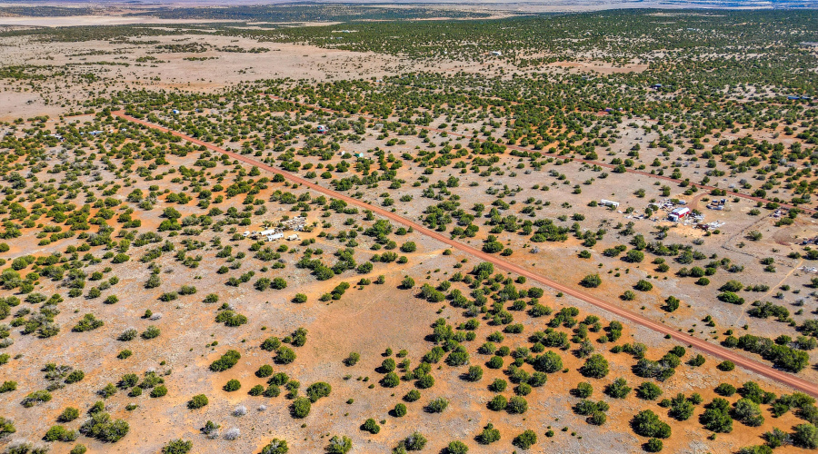 8085CountyRdLot1847-Concho-AZ-14