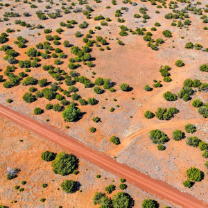 8085CountyRdLot1847-Concho-AZ-9