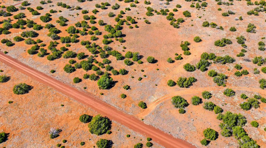 8085CountyRdLot1847-Concho-AZ-9
