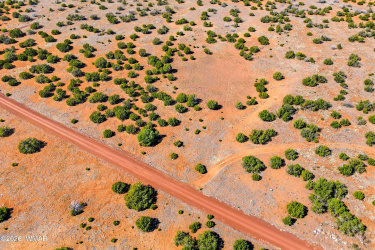 8085 County Road, Concho, Arizona 85924, ,Land,For Sale,County,260065