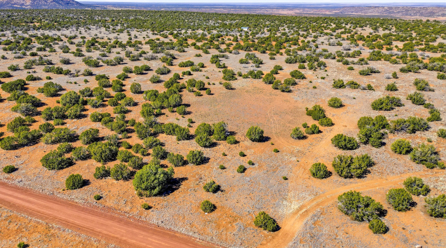 8085CountyRdLot1847-Concho-AZ-4