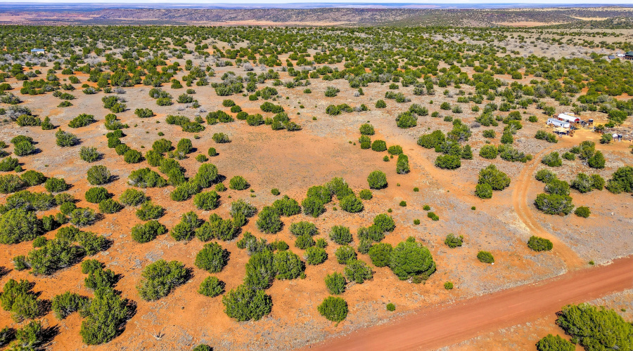 8085CountyRdLot1847-Concho-AZ-3
