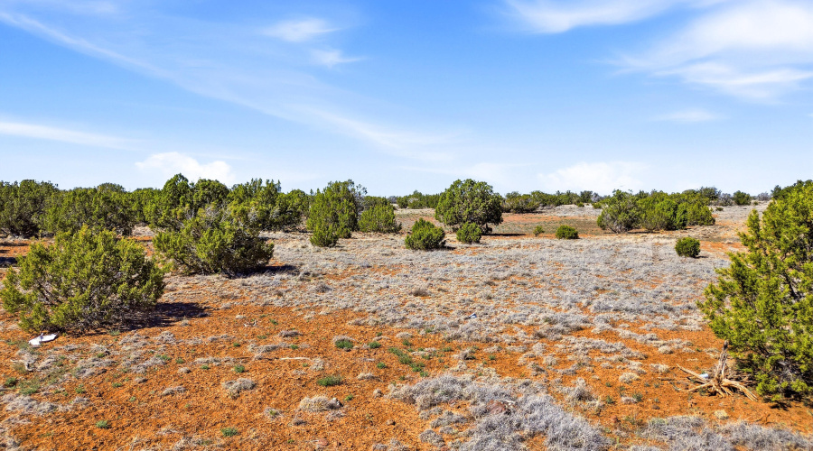 8085CountyRdLot1847-Concho-AZ-1