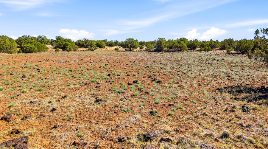 8085CountyRdLot1847-Concho-AZ-2
