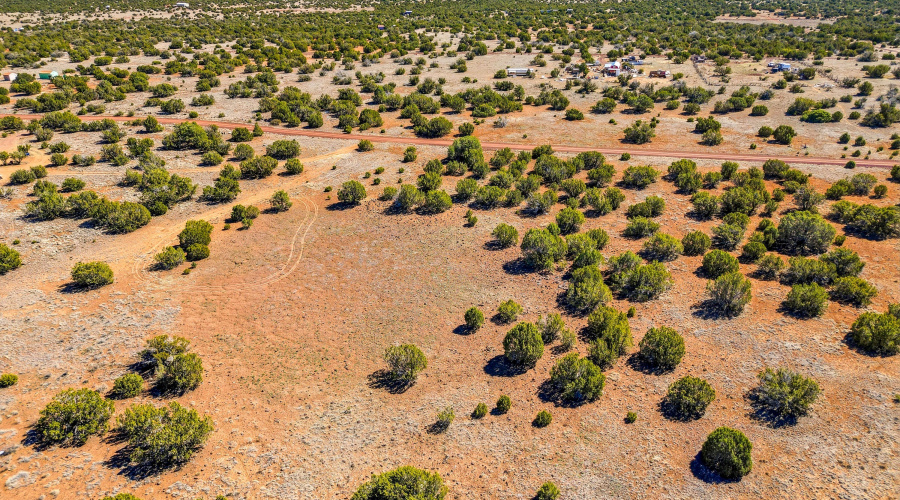 8085CountyRdLot1847-Concho-AZ-6