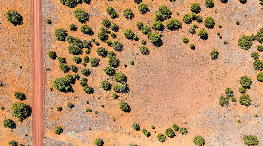 8085CountyRdLot1847-Concho-AZ-7