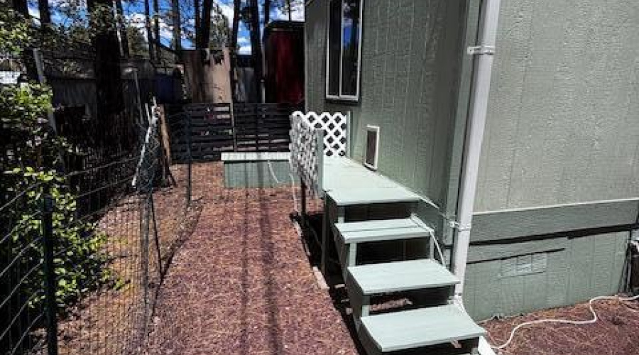 IMG_3977