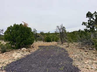 4918 Sunset Ridge Loop, Happy Jack, Arizona 86024, ,Land,For Sale,Sunset Ridge,93969