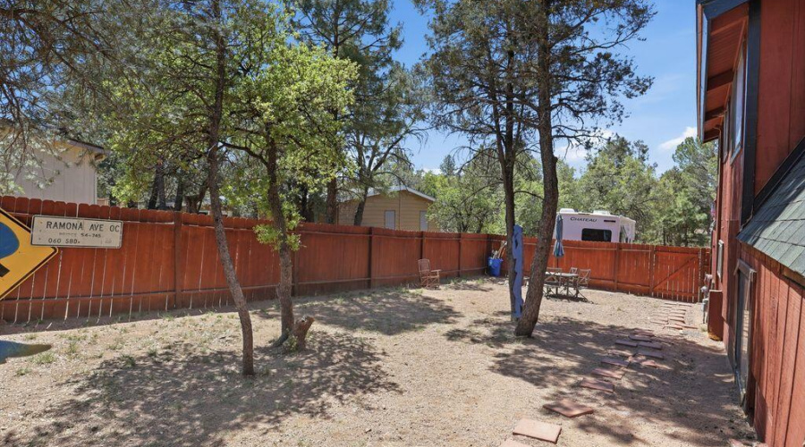 backyard3