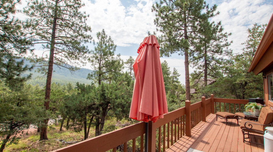 Juniper Loop MLS-58