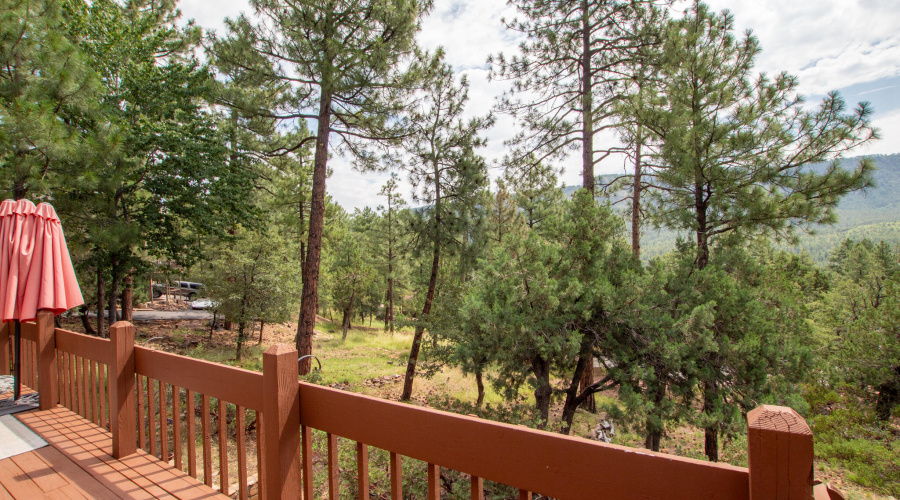 Juniper Loop MLS-59