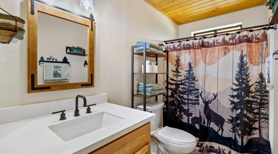 2924PineRimRd-HeberOvergaard-AZ-16