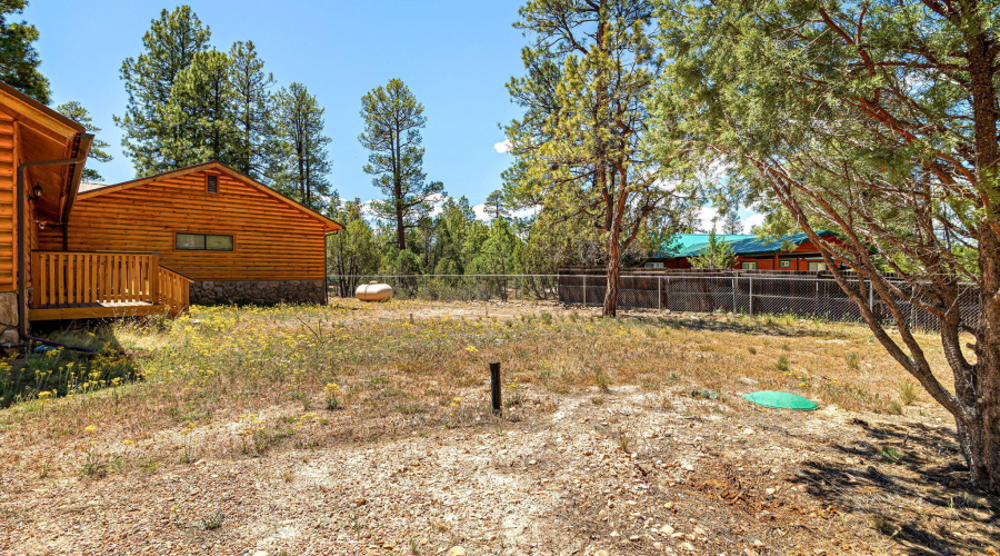 2924PineRimRd-HeberOvergaard-AZ-32