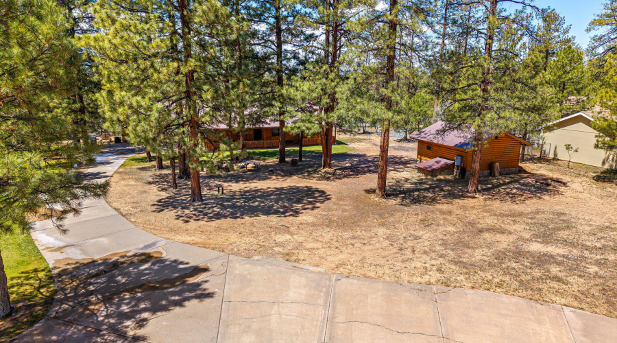 2924PineRimRd-HeberOvergaard-AZ-36