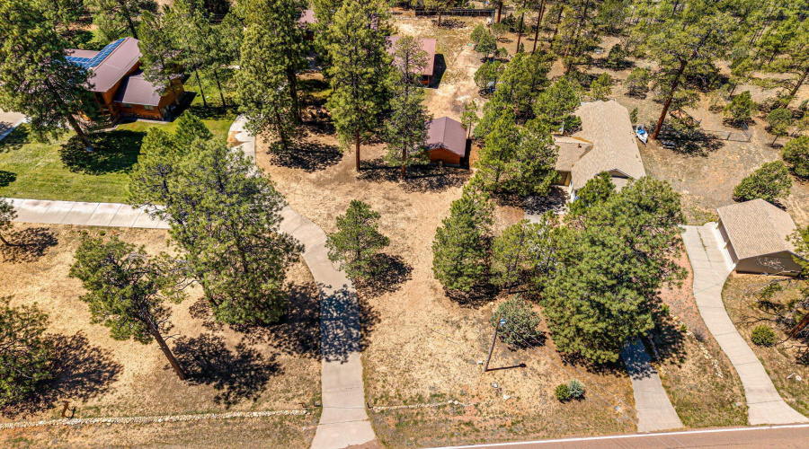 2924PineRimRd-HeberOvergaard-AZ-37