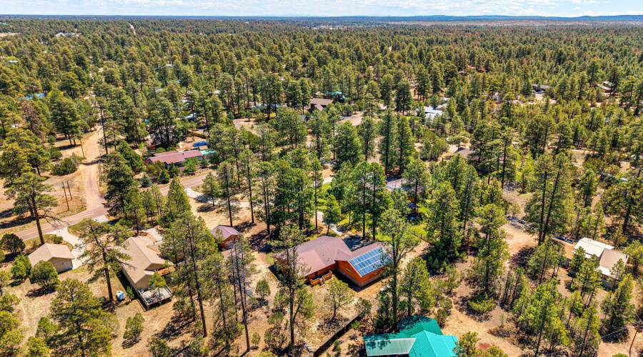 2924PineRimRd-HeberOvergaard-AZ-41