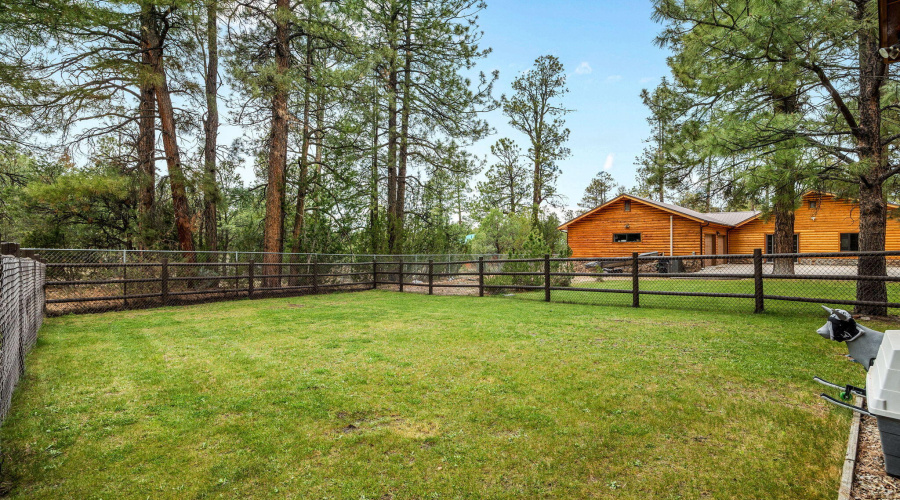 2922PineRimRd-HeberOvergaard-AZ-44