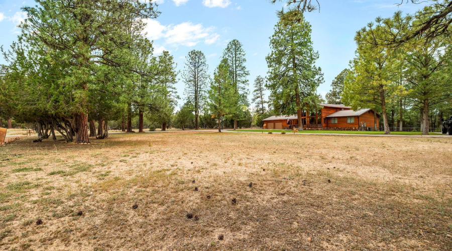 2922PineRimRd-HeberOvergaard-AZ-4