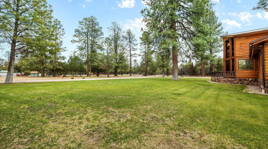 2922PineRimRd-HeberOvergaard-AZ-5