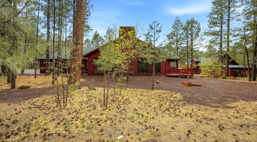 5353BrandingIronLoop-Pinetop-AZ-46